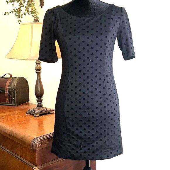 LC Lauren Conrad Dresses & Skirts - LAUREN CONRAD | Black Flocked Dot Short Sleeve Dress - Size 2